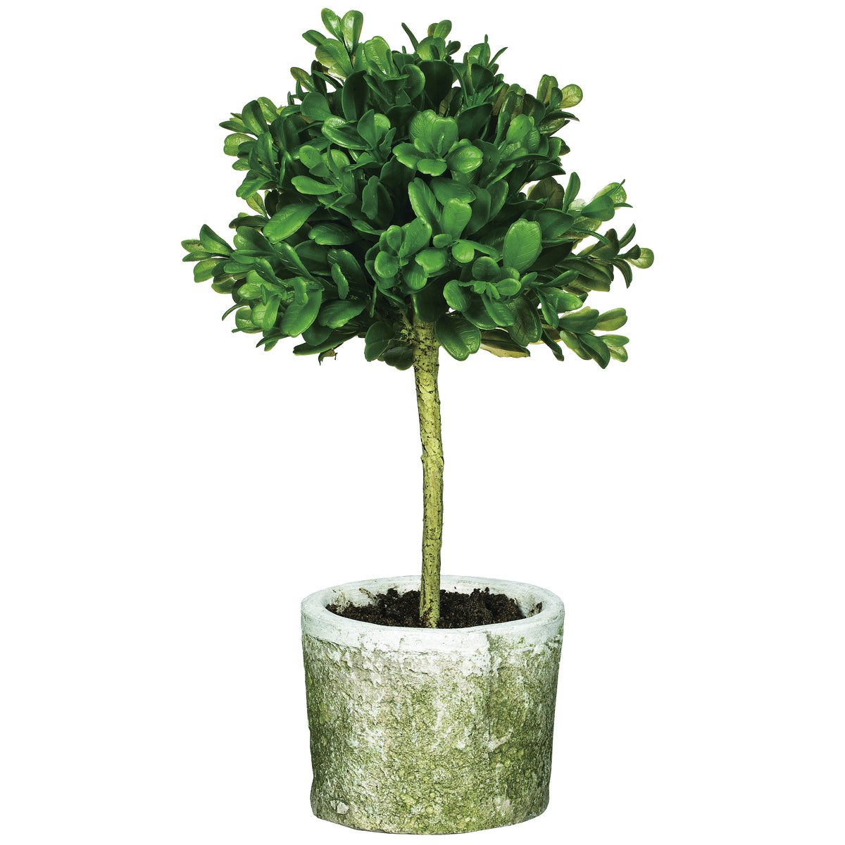 Mini Boxwood Topiary – Transpac Brands
