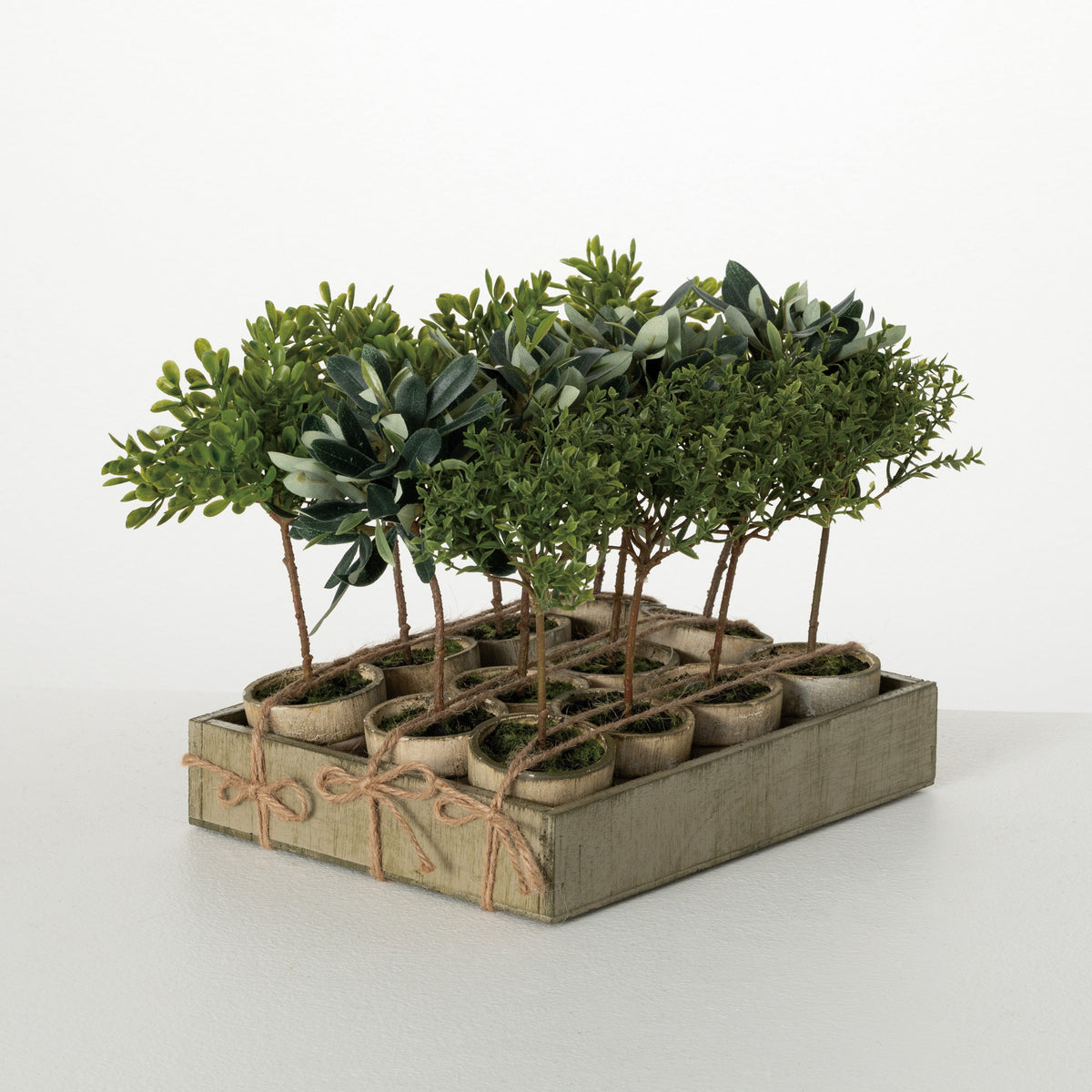 POTTED MINI TREE Set/12 – Transpac Brands
