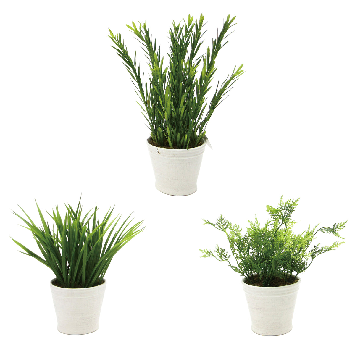 Foliage Potted Plant (Assortment of 3) – Transpac Brands