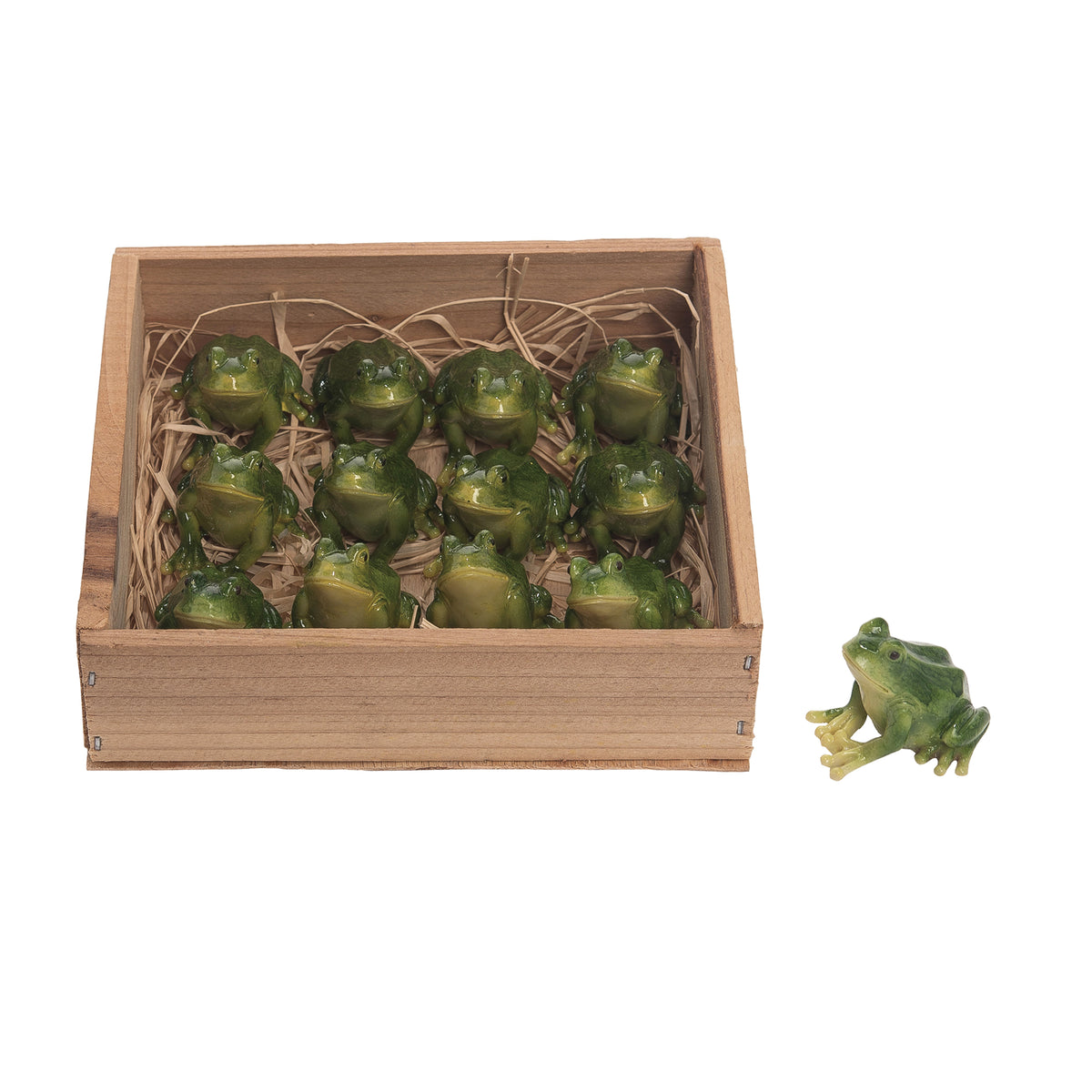 Frog Box Set Resin Mini Frogs In Box - Set of 12 – Transpac Brands