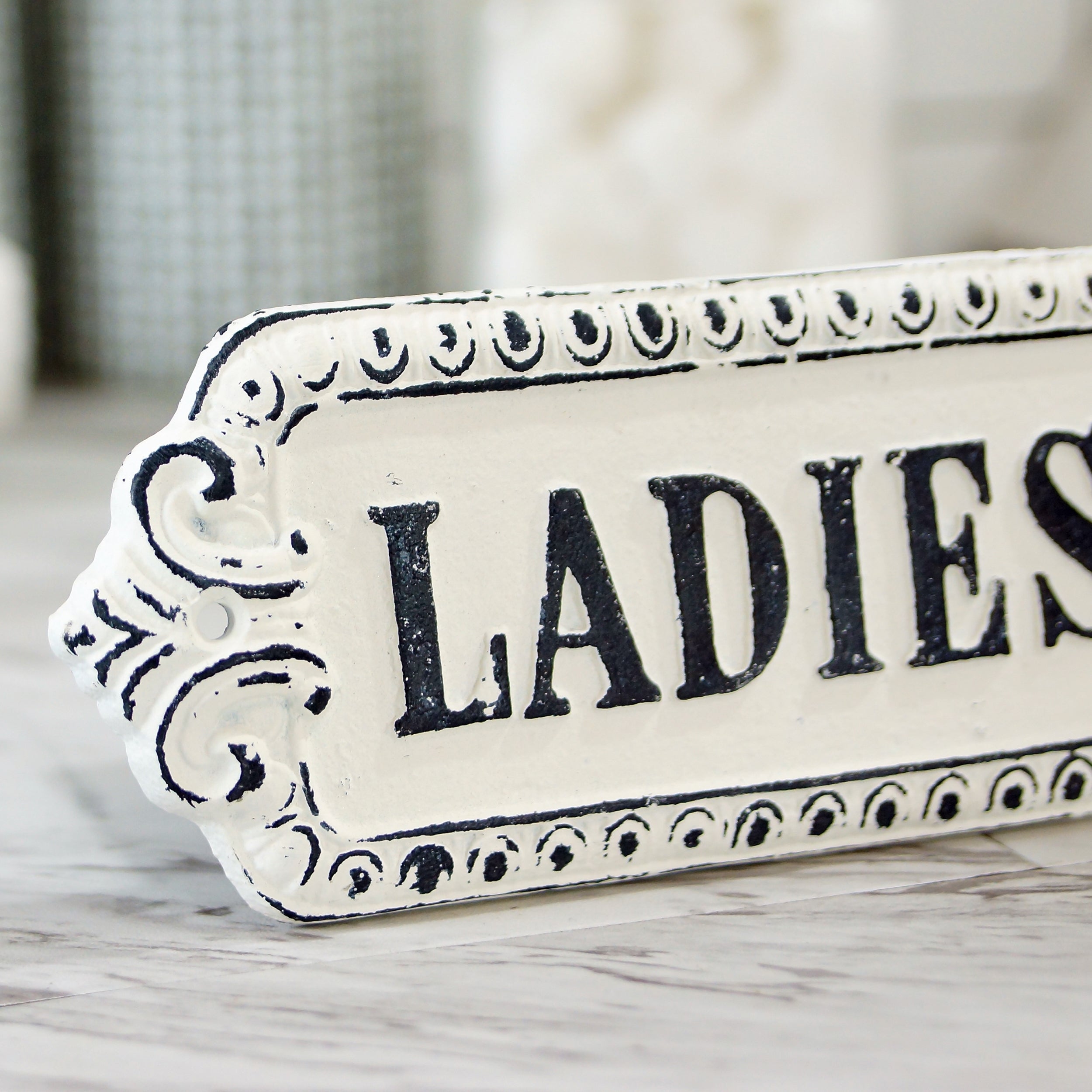 Ladies Side Sign Metal Door Sign