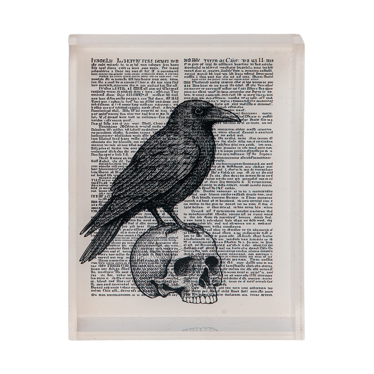 Acrylic Raven with Skull Block Decor – Transpac Brands